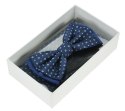 Bow Tie Victorio + pocket square Lux 087