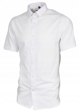 Men's shirt Desire with short sleeves