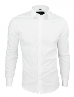 Men's shirt Victorio 573